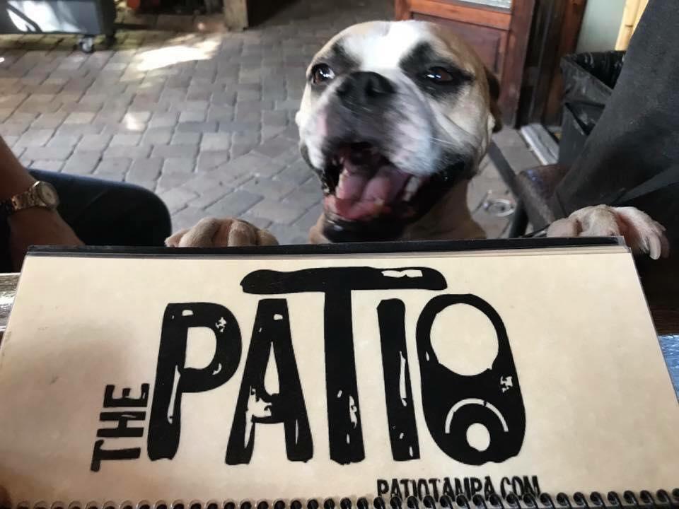 The Patio Tampa